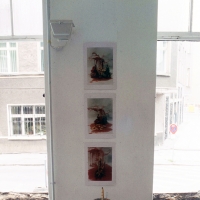 Installation view, Blut & Blumen