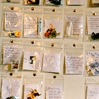 Bee Cemetery: People's Wishes