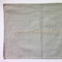 you've cracked the sky